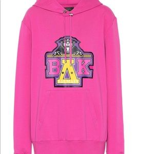 LIKE NEW BALMAIN X BEYONCE SWEATSHIRT